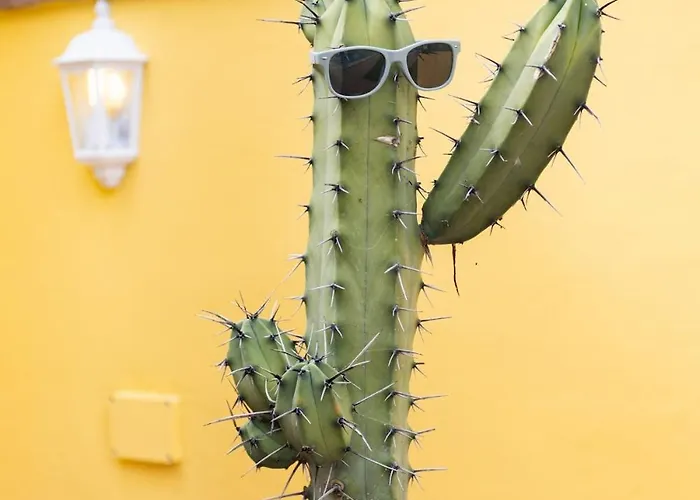 Taoro La Orotava