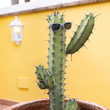 Taoro La Orotava